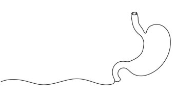 Sürekli tek bir mide çizgisi. Mide insan organı çizgisi sanatı. Moda minimalist tarzı. Vektör çizimi. Düzenlenebilir vuruş.