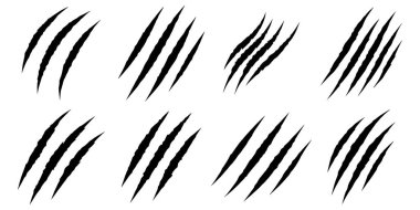 Kara Pençe çizikleri. Ayı kaplan pençesi izleri, hayvan beyaz kağıt çizikleri. Aslan ya da dinozor düz tırmık izleri, vahşi hayvan, vektör klipsini izler..