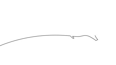 Bir uçağın tek çizgi çiziminin animasyonu. Bir uçağın sürekli dış hatları. Tek satırlı kesintisiz video.