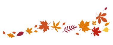 Sonbahar yaprağı sınırı. Düşen yapraklar dalgası. Yaprak düştü. Sonbahar uçan yaprakları. Suluboya rüzgarda savruluyor. Sonbahar, sınırsız bırakır