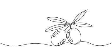 Zeytin dalı siyah beyaz çiziyor. Botanik mürekkep çizimi. Bitki sürekli bir çizgi çizer. Düzenlenebilir vuruş.