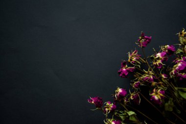 Siyah bir sırtındaki güzel mor çiçeğin dikey görüntüsü.