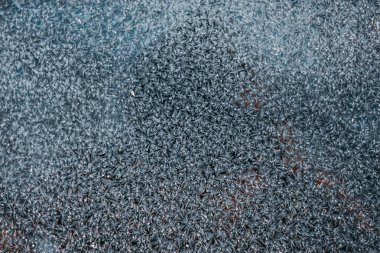 arka plan buz dondurulmuş soyut