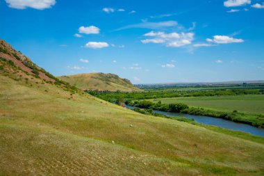 Nehrin manzarası. Ormandaki nehir. Yüksek kalite fotoğraf