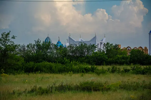 Yeşil çimenler ve mavi gökyüzü. Yüksek kalite fotoğraf.