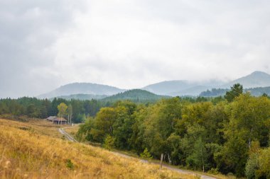 Sonbahar manzarası, yol ve arka planda ağaçlar..