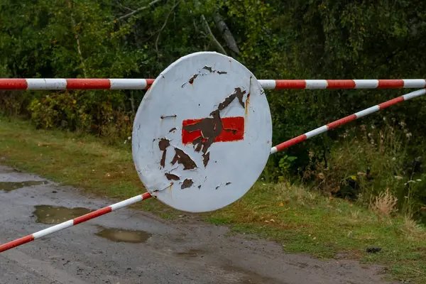 Ormandaki yol tabelası