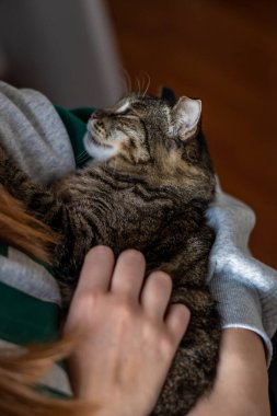 Gri tişörtlü bir kadın bir kediyle yatıyor..