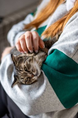 Şirin kedi kadınla