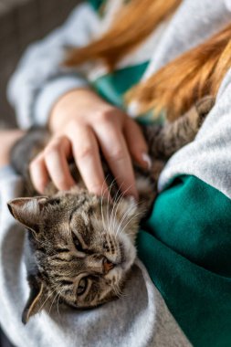 Sevimli tekir kediyi kucağında tutan bir kadın.