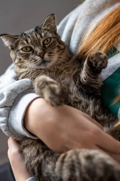 Kollarında kedisi olan genç bir kız.