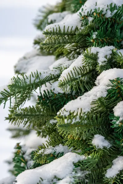 Şehrin caddesindeki binanın manzarası.