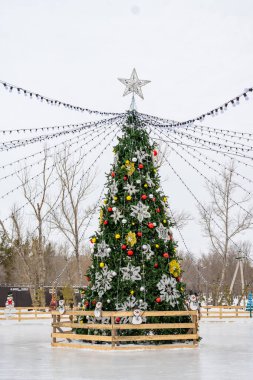 Karda Noel ağacı