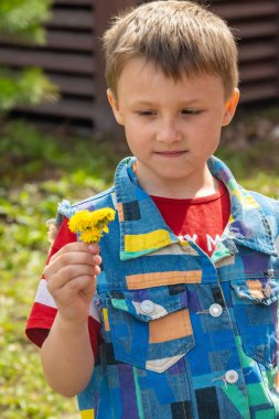 Karahindibalı çocuk. Yaz kavramı. Yüksek kalite fotoğraf. Yüksek kalite fotoğraf