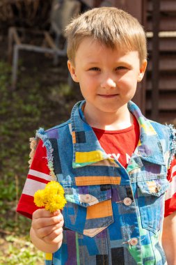 Karahindibalı çocuk. Yaz kavramı. Yüksek kalite fotoğraf. Yüksek kalite fotoğraf