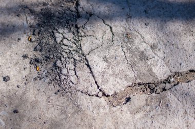 Asfaltta çatlak var. Yüksek kalite fotoğraf. Yüksek kalite fotoğraf