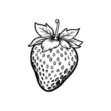 El illüstrasyonuyla çilek vektörü