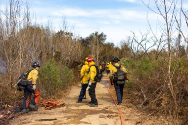 İtfaiyeciler, Palisades, Eaton, Hurst ve Sunset Yangınları da dahil olmak üzere Los Angeles 'ta birden fazla orman yangınıyla mücadele ederek tahliye, yıkım ve tehlikeli koşullara yol açtılar..