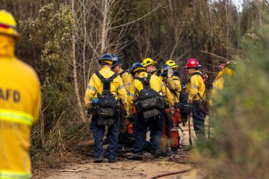 Firefighters battle multiple wildfires across Los Angeles, including the Palisades, Eaton, Hurst, and Sunset Fires, causing evacuations, destruction, and hazardous conditions. clipart