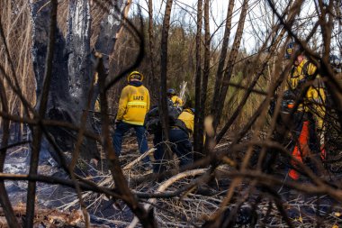 Firefighters battle multiple wildfires across Los Angeles, including the Palisades, Eaton, Hurst, and Sunset Fires, causing evacuations, destruction, and hazardous conditions. clipart