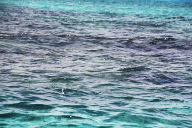 Mar color turquesa, con diferentes profundidades, diferentes tonos de colores. Riviera Maya, Quintana Roo, Mexico clipart