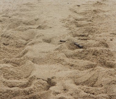 Textura de arena de mar, huella de tortuga