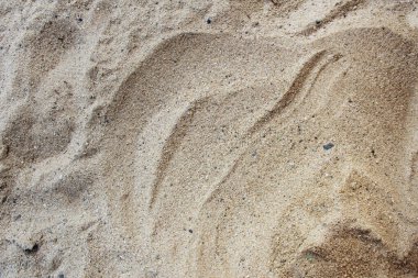 Deniz kumu dokusu, Pasifik Okyanusu