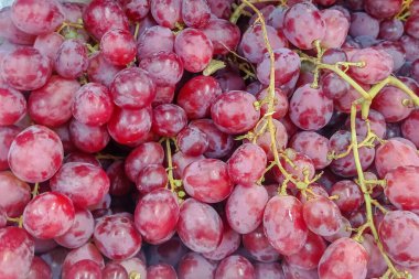 Çiğ organik tatlı üzüm arkaplanını kapatın, şarap üzümü dokusunu, sağlıklı meyveler kırmızı şarap arka planı, üst manzara. 