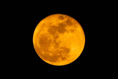 Gece ve karanlık tasarım konsepti için siyah zemin üzerinde sarı dolunay (süper ay). Dolunay fotoğrafının yüksek kalitesi.