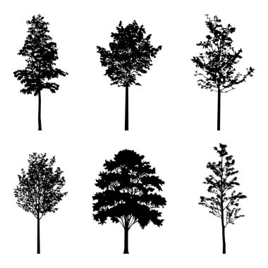 İllüstrasyon koleksiyonu Orman ağacı siluetleri