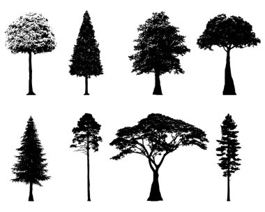 Siluet koleksiyonu farklı orman ağaçları. Vektör illüstrasyonu