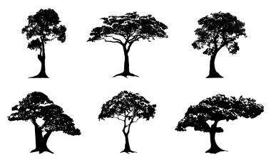 Beyaz arka planda izole edilmiş orman ağacı siluetleri koleksiyonu