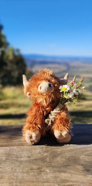 野牛一种非常可爱的填饱肚子的野牛 皮毛呈橙色 手里拿着一枝野花或一束野花 坐在手工制作的木制桌子上 背景是美丽的风景 — 图库照片