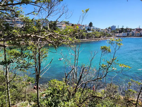 Güneşli bir günde, Sydney, Avustralya 'daki Shelly Sahili' nden deniz manzarası. Ağaçlar arasında bir çerçeve oluşturan manzara ve mavi deniz, kayalar ve evler..