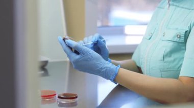 Closeup of a scientist hand arranging glass plate or petri dishes on a table in research lab. Medical biologist using glassware for virus testing samples of bacteria in cells at medical lab facility.