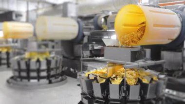 Kızarmış patates cipsi fabrikadaki endüstriyel taşıma bandına konuyor. Kızarmış cips yığını fabrikadaki bir konteynırda son buluyor. Chips Fabrikası.