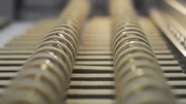 Çikolatalı gofret üretimi. Fabrikada çikolatalı gofret pişirmek için otomatik hat. Gıda endüstrisi.