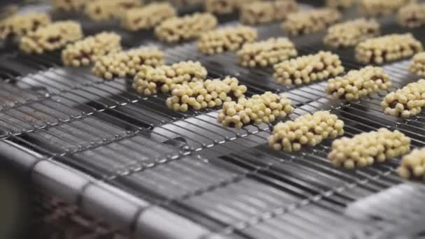 Producción Obleas Chocolate Línea Automática Para Hornear Obleas Chocolate Fábrica — Vídeos de Stock
