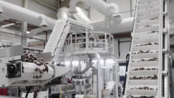 Szállítószalag Mozgásban Van Cukorgyárban Cukorka Gurul Szállítószalagon Gyártósor Édességgyár — Stock videók