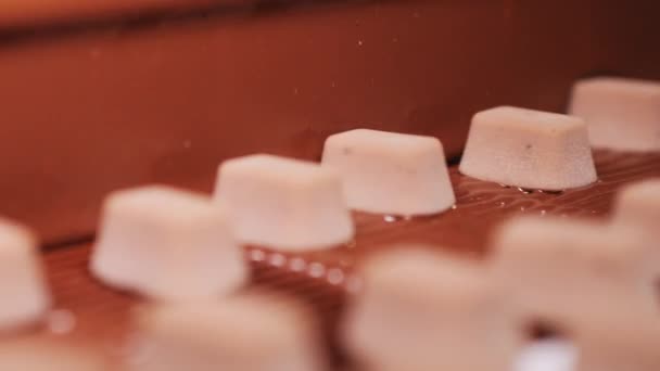 Cinta Transportadora Una Fábrica Chocolate Producción Dulces Chocolate Vertiendo Las — Vídeos de Stock