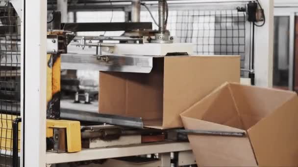 Automatizovaná Výrobní Linka Moderní Továrně Nosí Kartony Výrobní Dopravníkové Lince — Stock video