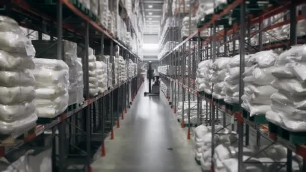 Výrobky Skladišti Průmyslová Skladovací Místnost Logistické Centrum Interiér Plný Regálů — Stock video