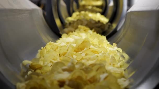 炸土豆片最后被放在工厂的一条工业传送带上 一堆炸土豆片最后被放在工厂的一个分拣容器里 芯片厂 — 图库视频影像