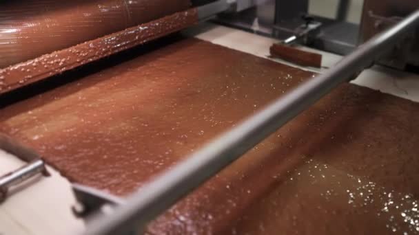 Produktion Chokladskivor Automatiserad Linje För Bakning Chokladskivor Fabriken Livsmedelsindustri — Stockvideo