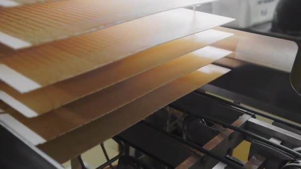 Produkcja Wafli Czekoladowych Automatyczna Linia Pieczenia Wafli Czekoladowych Fabryce Przemysł — Wideo stockowe