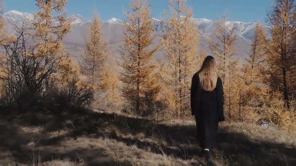 Uma Mulher Casaco Preto Botas Pretas Caminha Topo Uma Montanha — Vídeo de Stock