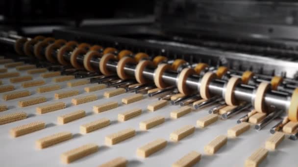 Produkcja Wafli Czekoladowych Automatyczna Linia Pieczenia Wafli Czekoladowych Fabryce Przemysł — Wideo stockowe
