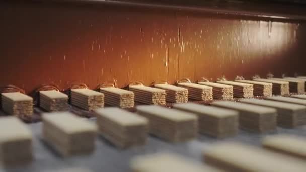 Производство Шоколадных Вафель Автоматизированная Линия Выпечки Шоколадных Вафель Заводе Пищевая — стоковое видео