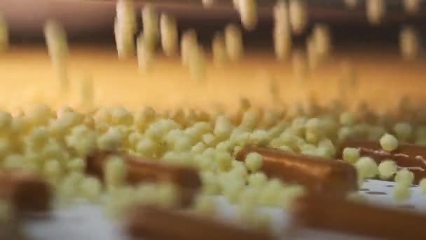 Produção Bolachas Chocolate Linha Automatizada Para Assar Bolachas Chocolate Fábrica — Vídeo de Stock