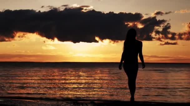 ある女性が日没時にビーチを歩いている ビーチから水に入る少女のシルエット 太陽の下で海にいる少女 — ストック動画